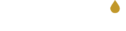 logo auryx blanc