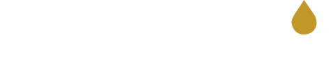 logo auryx blanc